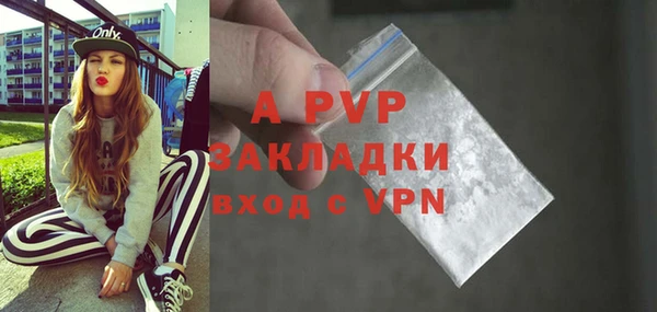 эйфоретик Богданович