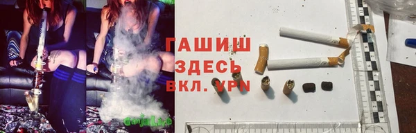 эйфоретик Богданович