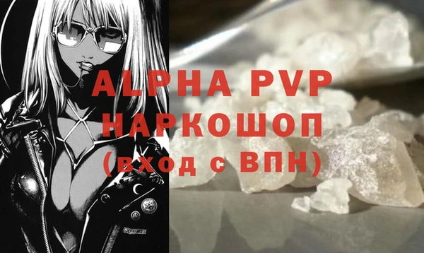 эйфоретик Богданович
