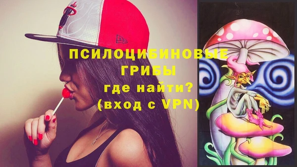 мдма Богородицк