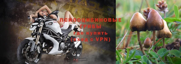 мдма Богородицк