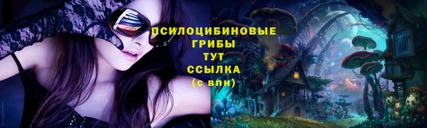 эйфоретик Богданович