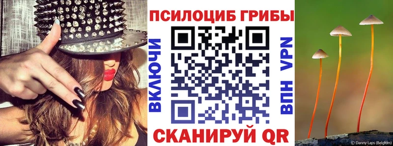 закладка  Медынь  Псилоцибиновые грибы мицелий 