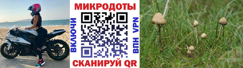 Галлюциногенные грибы Cubensis Медынь
